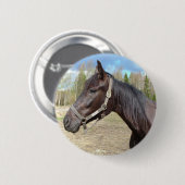 Knop Paarden Ronde Button 5,7 Cm (Voorkant /achterkant)