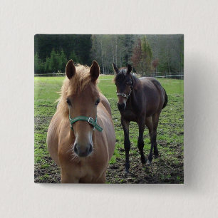 Knop Paarden Vierkante Button 5,1 Cm