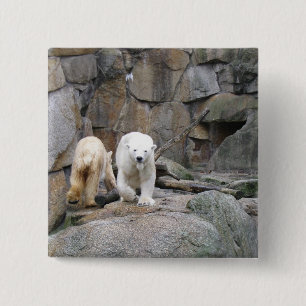 knop POLAR-BEER Vierkante Button 5,1 Cm