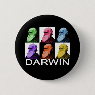 Knop Rainbow Darwin Ronde Button 5,7 Cm