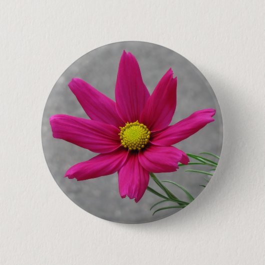 Knop Roze ventilator Ronde Button 5,7 Cm (Voorkant)