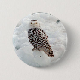 Knop Snowy Owl Ronde Button 5,7 Cm