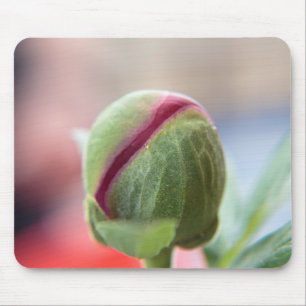 Knop van een Pioen/Pfingstrosen Muismat