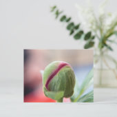 Knop van een Pioenroos Briefkaart (Staand voorkant)