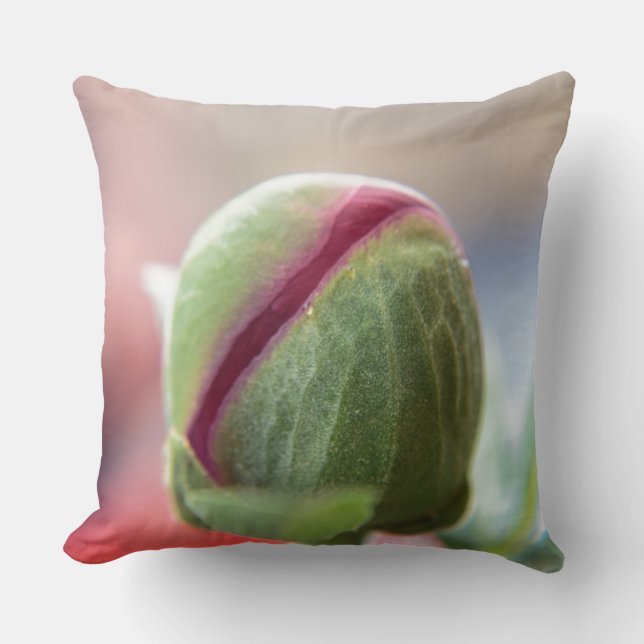 Knop van een Pioenroos Kussen (Voorkant)