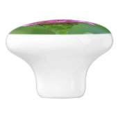 Knop van vlinderaards keramiek (Zijkant)