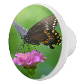 Knop van vlinderaards keramiek (Rechts)