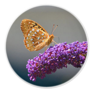 Knop van vlinderaards keramiek
