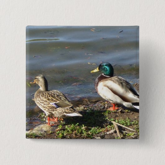 Knop voor eenden van wilde eenden vierkante button 5,1 cm (Voorkant)