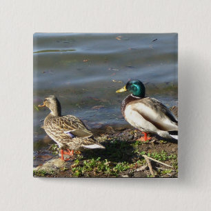 Knop voor eenden van wilde eenden vierkante button 5,1 cm