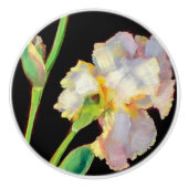 Knoppen - witte iris (Voorkant)