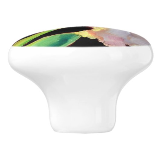 Knoppen - witte iris (Zijkant)