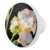 Knoppen - witte iris (Rechts)