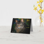 KNORRIG IS een de verjaardagskaart van de Kaart (Gele Bloem)