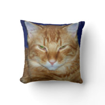 Knorrig kat - oranje Maine Coon-werpkussen