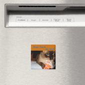 Knorrig kat - Siamese kat koelkastmagneet Magneet (Insitu (Vaatwasser))