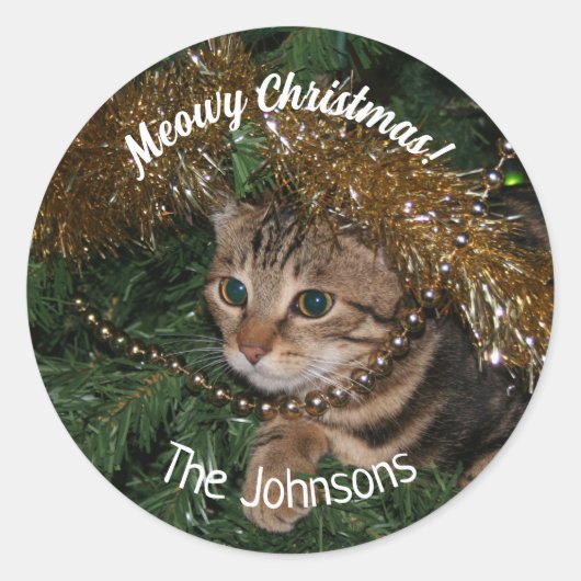 Knorrig Kerstmis Ronde Kat Vrijdag Sticker  (Voorkant)