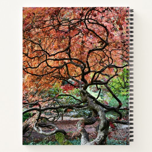 Knorrig verdraaide Japanse esdoorn Notitieboek (Achterkant)