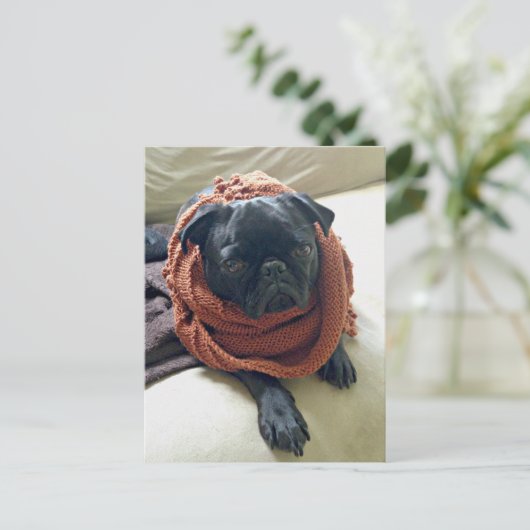 Knorrige Pug Briefkaart (Staand voorkant)