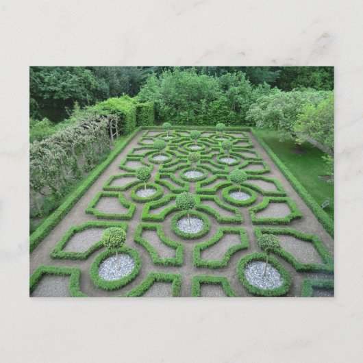 Knot Garden in the Grounds of Old Moseley Hall Briefkaart (Voorkant)