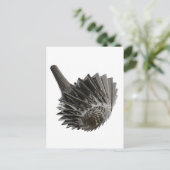 Knoten2009 Briefkaart (Staand voorkant)