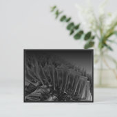 Knoten 2004 briefkaart (Staand voorkant)