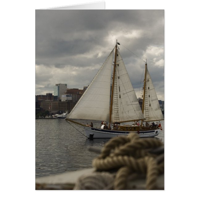 Knotisch zeilen (Voorkant)