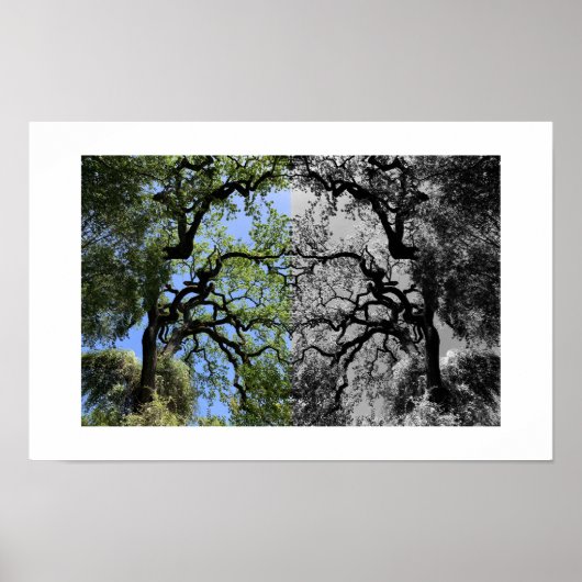 Knots Reflection Photography Poster (Voorkant)