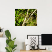 Knotslibellen Poster (Thuiskantoor)