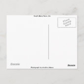 Knott's Berry Boerderij, Californië Briefkaart (Achterkant)