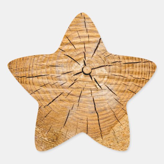 Knotty Wood Slice of Life Ster Sticker (Voorkant)
