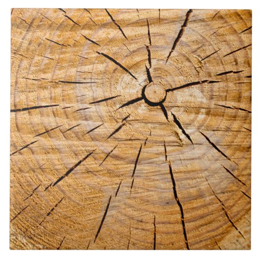 Knotty Wood Slice of Life Tegeltje (Voorkant)