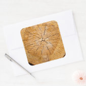 Knotty Wood Slice of Life Vierkante Sticker (Envelop)