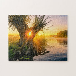 Knotwilg bij nevelige rivier zonsopgang legpuzzel