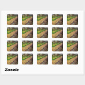 Knotwilgen door Vincent van Gogh Vierkante Sticker (Vel)