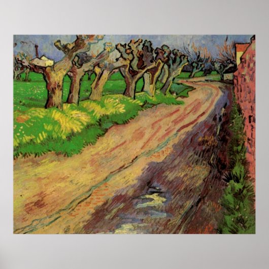 Knotwilgen van Vincent van Gogh Poster (Voorkant)