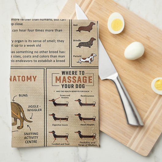 Knowledge Dachshund Wiener Dog Theedoek (Quarter Fold)