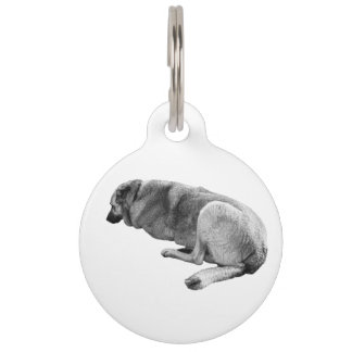 Known by Calm Huisdierpenning