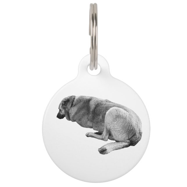 Known by Calm Huisdierpenning (Voorkant)