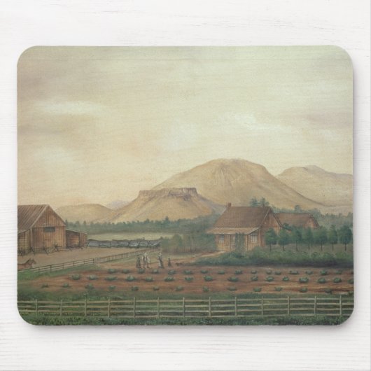 Knox Ranch, Idaho Muismat (Voorkant)