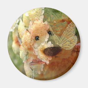 Knuffel Beer Magneet