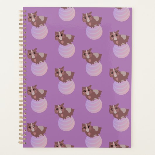 Knuffel Cavia Fitness Bal Paars Planner (Voorkant)