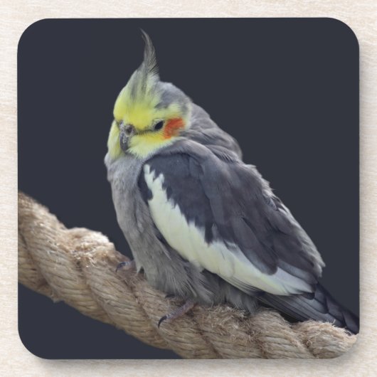 Knuffel Cockatiel Onderzetter Set (Voorkant)