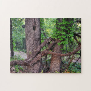 Knuffel een boombos Natuur puzzel Legpuzzel