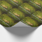 Knuffel een grond marmot inpakpapier (Hoek)