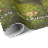 Knuffel een grond marmot inpakpapier (Rol Hoek)