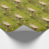 Knuffel een groundhog vandaag inpakpapier (Hoek)