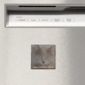 KNUFFEL EEN MAINE COON MAGNEET (Insitu (Vaatwasser))