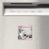 KNUFFEL EEN RAGDOLL MAGNEET (Insitu (Vaatwasser))