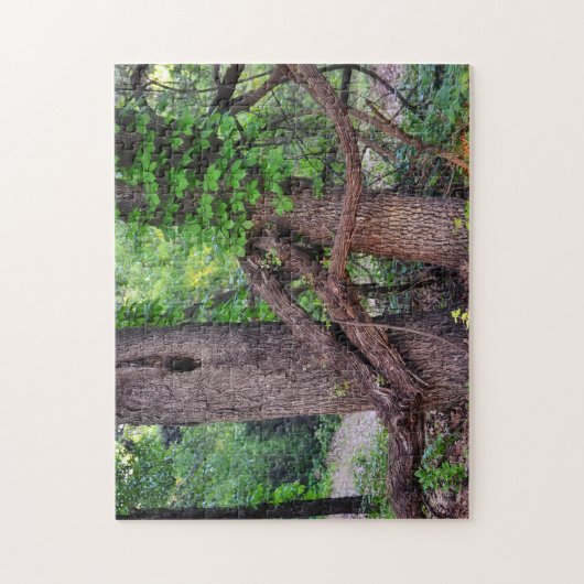 Knuffel een Tree Fun Natuur Puzzel Legpuzzel (Verticaal)